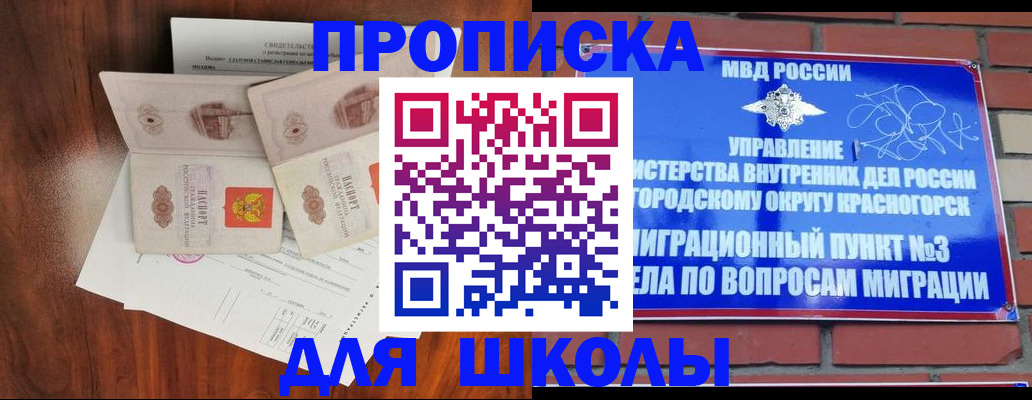 прописка поиск в Курчалом